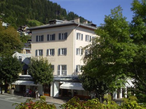 ทางเข้า, Appartements Steiner - SKI IN - SKI OUT in แซลล์ อาม เซ