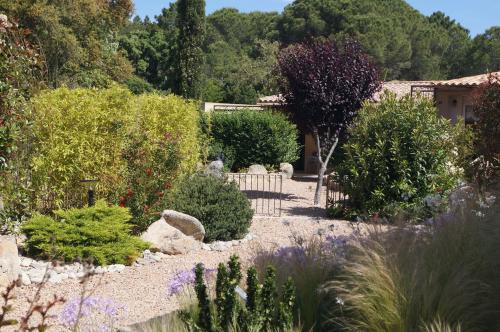 Les Jardins De Santa Giulia - Charmante chambre d'hôte - Chambre d'hôtes - Porto-Vecchio