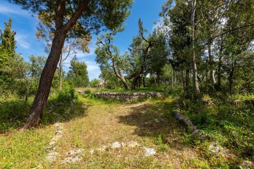  Casale La Torretta by BarbarHouse in Specchiolla