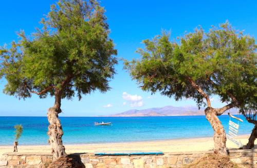 Resort in Agios Prokopios 