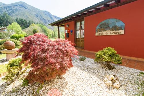 Apartamentos Camin De Pelayo - image 10