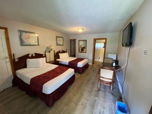 Adirondack Oasis Motel - main image