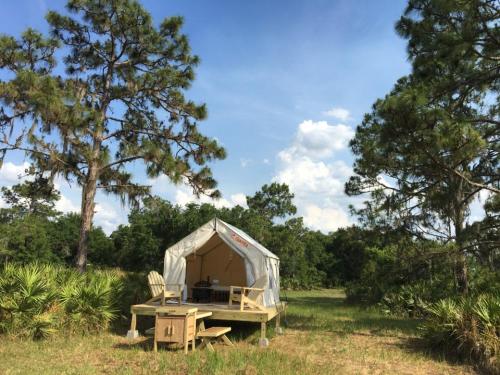 Tentrr Signature Site - Winter Haven hideaway - image 3