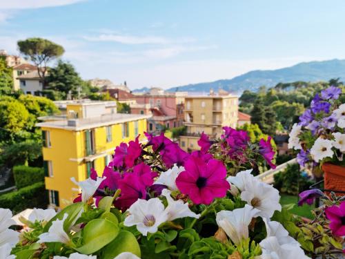 Hotel Canali, Portofino Coast