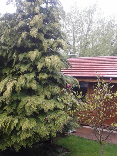 Manor Garden Lodge - image 2