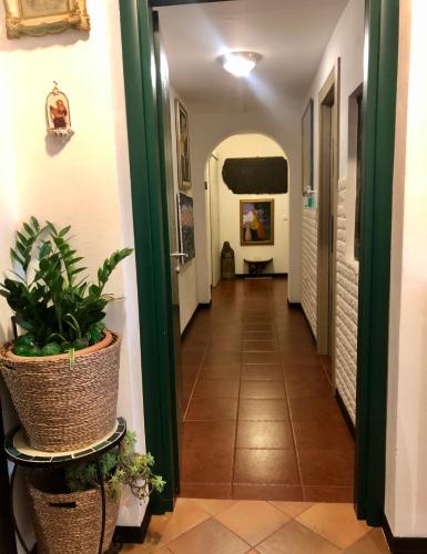 Foto - Affittacamere Alle 5 Terre