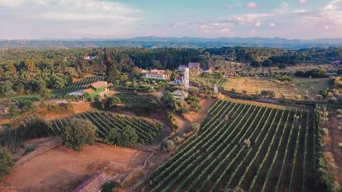 Bonjardim Boutique Hotel in Sertã