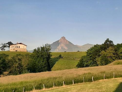 Lizargarate
