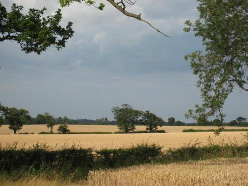 Colston Hall Cottages - image 10