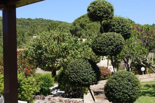 Room in BB - The Gardens of Santa Giulia
