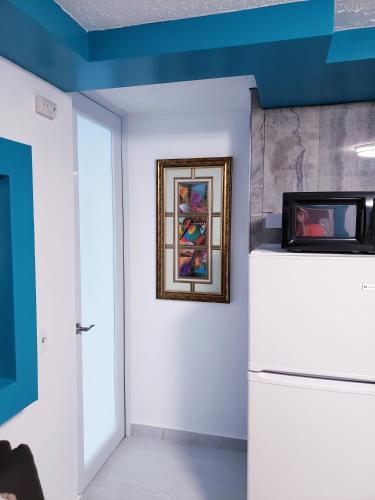 厨房, MH House APT #1 in 卡罗来纳