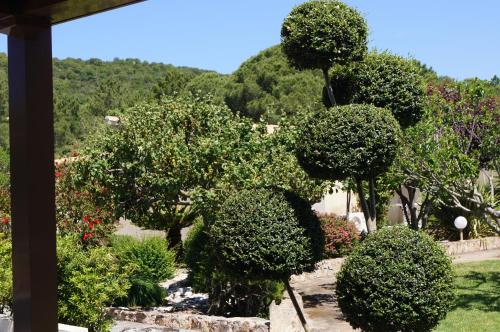 Les Jardins De Santa Giulia - Charmante chambre d'hôte - Chambre d'hôtes - Porto-Vecchio