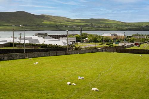 View, Seaview Heights in Dingle