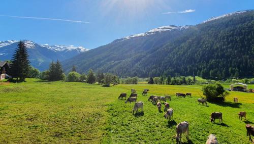 Chalet Breithorn- Perfect for Holiday with Amazing View!