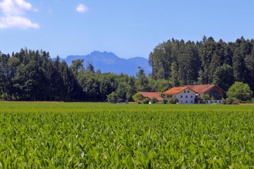 Beim Lenglacher - Hotel - Chieming