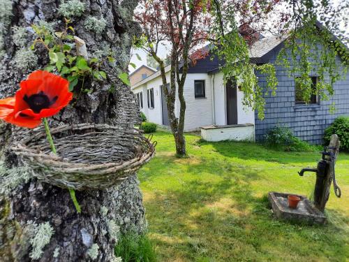 Alaboneur, Maison de Vacances gîte à louer Vernovlin