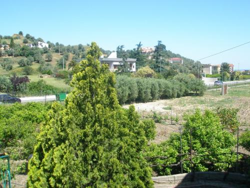 Bed and Breakfast L' Aranciera