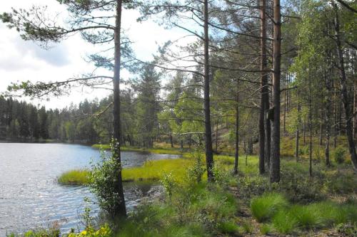 Cozy Lodge in Varmland Sweden in Storebro