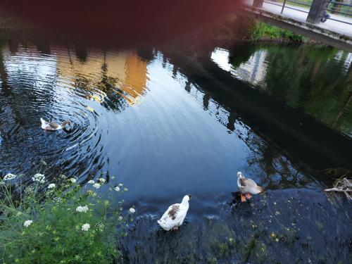Sleeping Sarria Hostel - main image