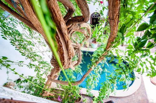 Hotel & Spa Riad Dar El Aila, Marakéš (fotografie 2)