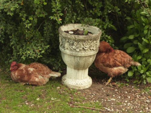 Twin Oaks Guest House