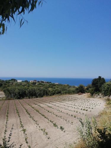 Monolocale zona Mare Pisturri in 馬戈馬達斯