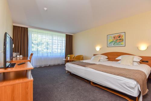 Alka Boutique Apartments & SPA in Palanga