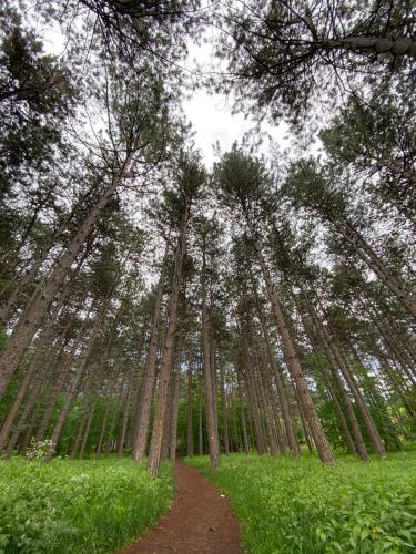 Apartmani JOVANOVIC Sokobanja