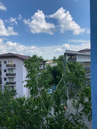 !!Only during Untold!! - Cozy Apartment 500 meters from Main Stage