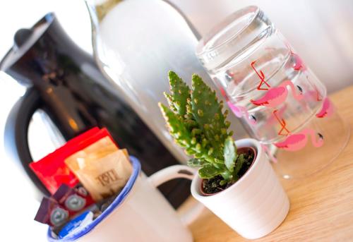 Létesítmények, Dog and Whistle Pub in Hertford