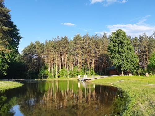 景觀, Pušų Šlamesy (Pusu Slamesy) in 安塔卡尼斯