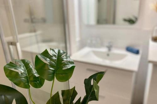 Grand F2 de 47m² au 15eme etage dans une residence tres calme