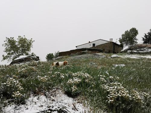 El Triskel de Chumbea, alojamiento excepcional con maravillosas vistas a 5km de Béjar