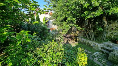 Secret garden of Piran