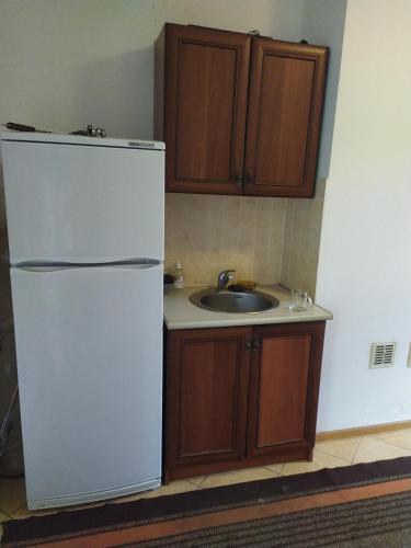 House of Vitaliy in 波查伊夫