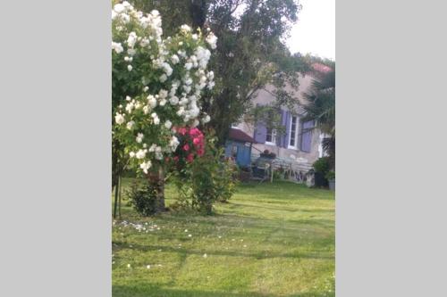 Maison de campagne à la ferme gîte à louer Montignac-le-Coq