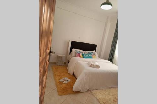 Exquisite Fully Furnished 2 bedroom Apt. Nanyuki with Clear View of Mt. Kenya