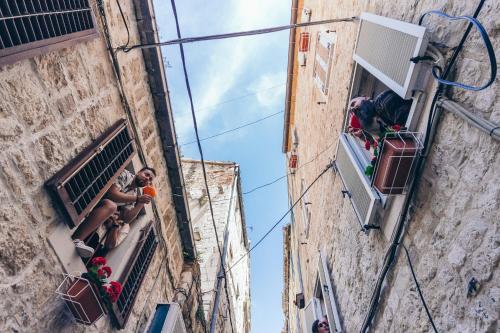 Split hostel Fiesta Siesta in Split