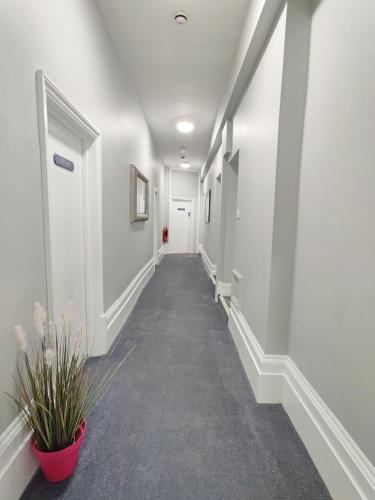 The Swan Hotel - image 5