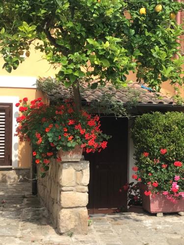 Da Sabrina, Castellabate (foto 7)