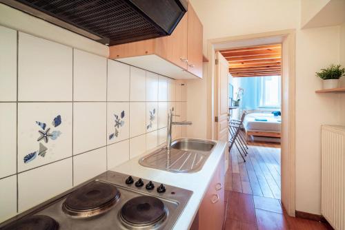 Saint Pauls 1 bedroom apartment, Antverpy (fotografie 5)