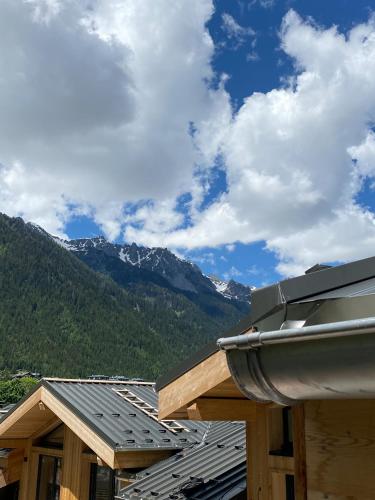 Appart'hôtel Bellamy Chamonix - image 12