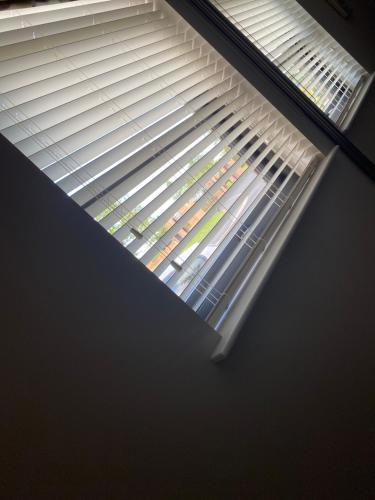 Belfast Apt