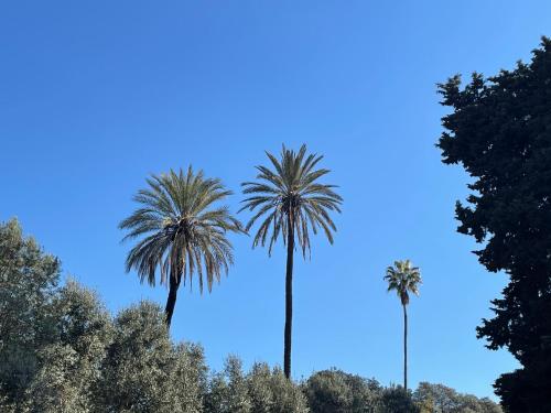 Colosseo Gardens - My Extra Home