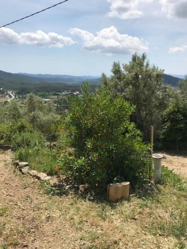 Cabane de l'Orient gîte à louer La Foux