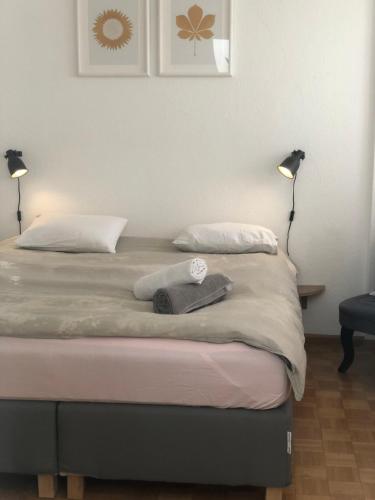 Central 2 bedroom flat in heart of Eaux-vives, Genewa (zdjęcie 7)