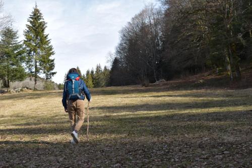 梅莱泽酒店 梅莱泽酒店