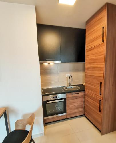 Apartments Overlooking the Green Hills of Ljubovic Park 4