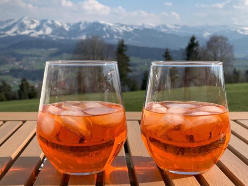 Pension Bilgeri - image 11