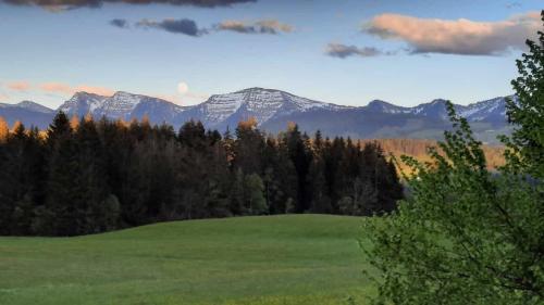 Pension Bilgeri - image 13